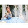DV66-566 princesa Aurora