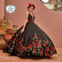 MV19-119 Frida